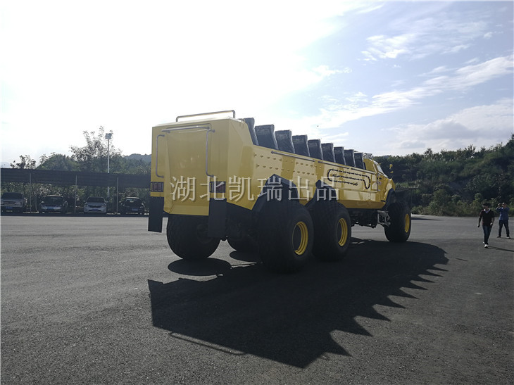 沙漠沖浪車(chē)側(cè)面 沙漠沖浪車(chē)側(cè)面